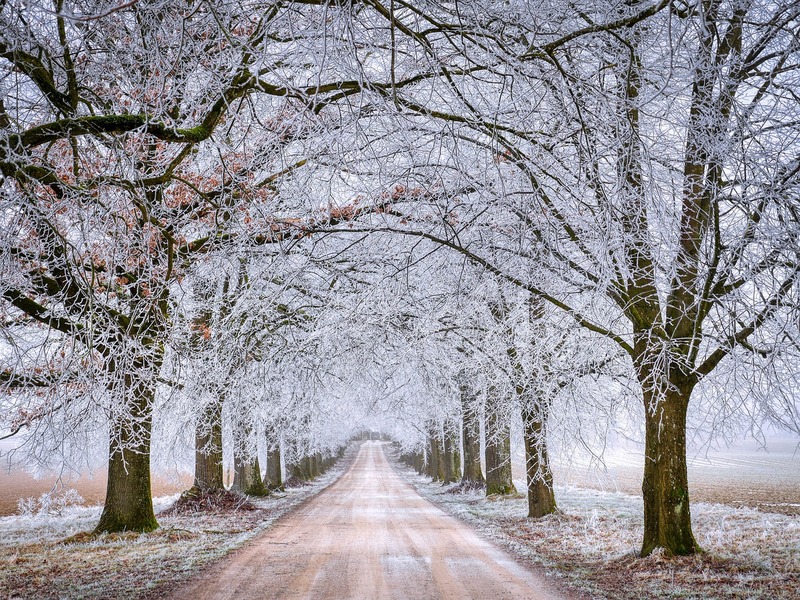 road-6935773_1280.jpg
